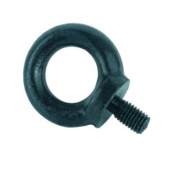 PROEL STAGE AC169 FLIGHT Case accessories śruba oczkowa M10